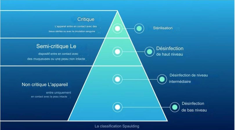 CLASSIFICATION DE SPAULDING